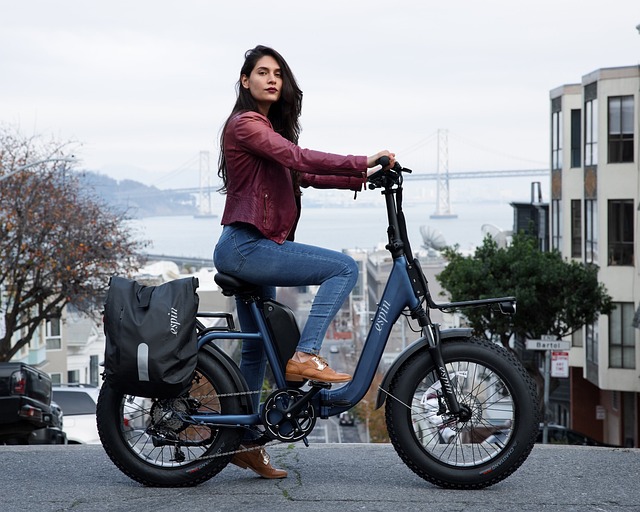 De toekomst van mobiliteit: de rockshark elektrische fiets