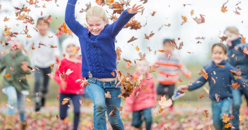 Activités en novembre à Edmonton